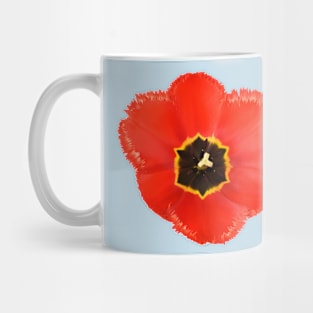 Tulipa 'Crystal Beauty' Fringed Tulip Mug